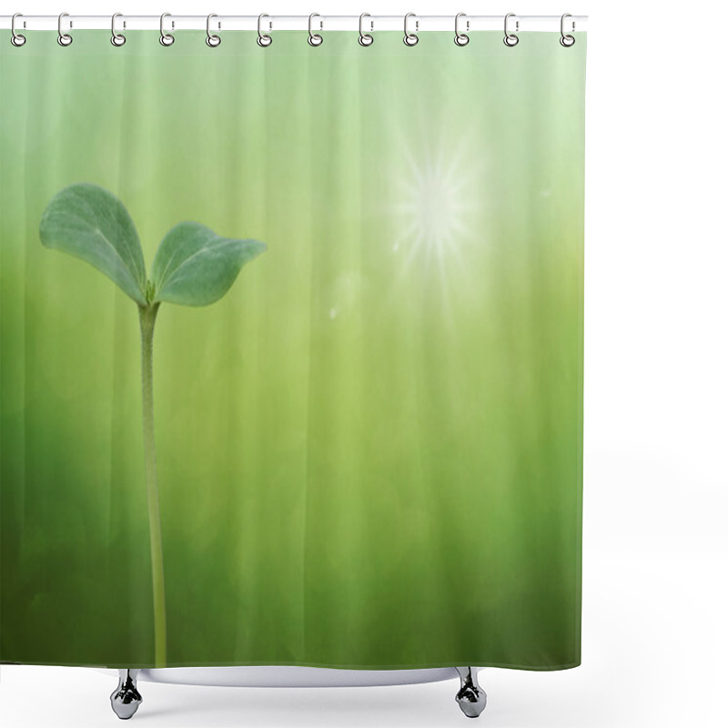 Personality  Tree Seedling Shower Curtains