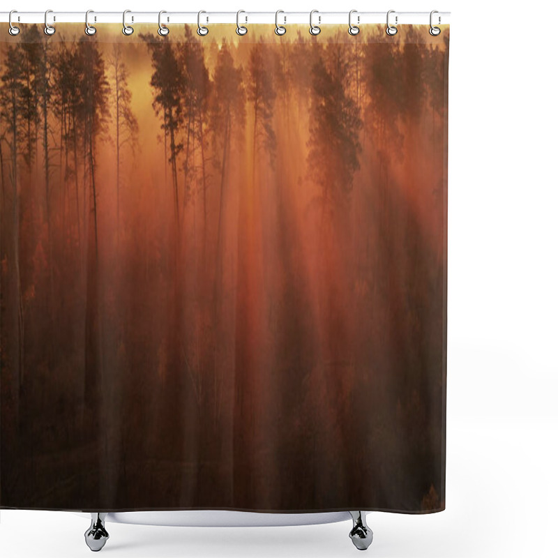 Personality  Evening In The Autumn Forest. The Rays Of The Sun Make Their Way Through The Branches Of The Trees, Creating A Magical, Warm, Mystical Atmosphere. Autumn Nature, Landscape. Shower Curtains