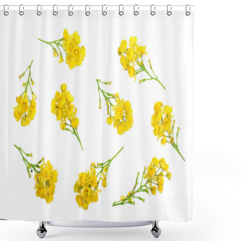 Personality  Flowers Of Barberries Isolated On White Background Shower Curtains