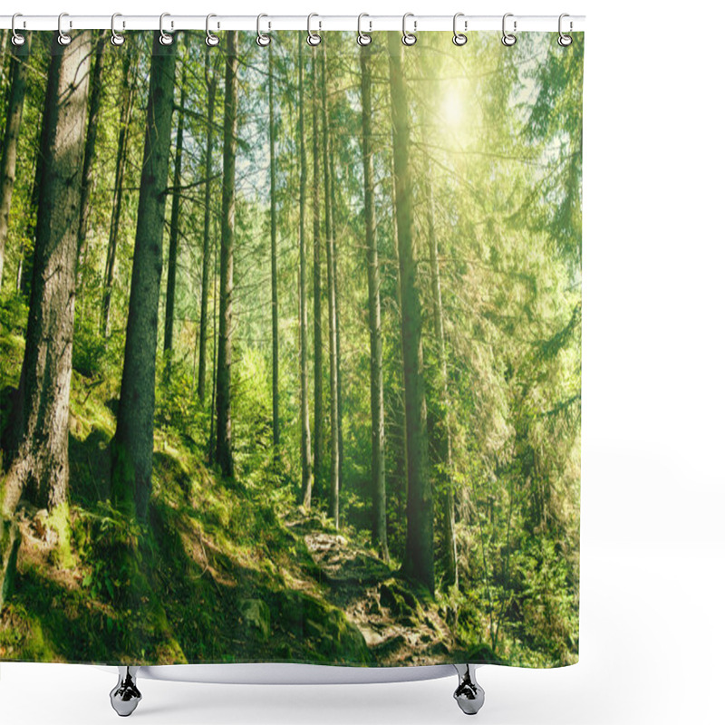 Personality  Summer Forest Shower Curtains