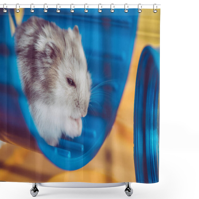 Personality  Selective Focus Of Adorable Hamster Sitting In Blue Plastic Wheel In Sunshine Shower Curtains