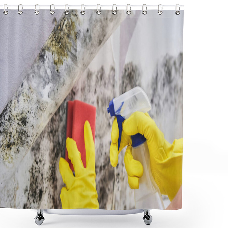 Personality  Housekeepers Hand With Glove Cleaning Mold From Wall With Sponge And Spray Bottle Shower Curtains