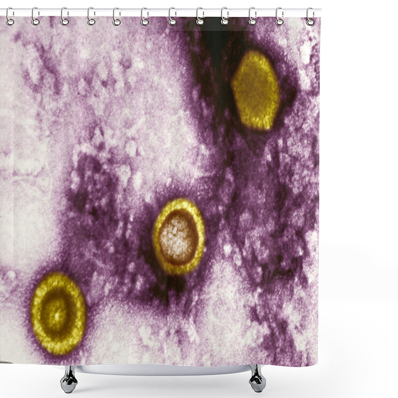 Personality  Icosahedral-shaped Herpesvirus Virions Shower Curtains