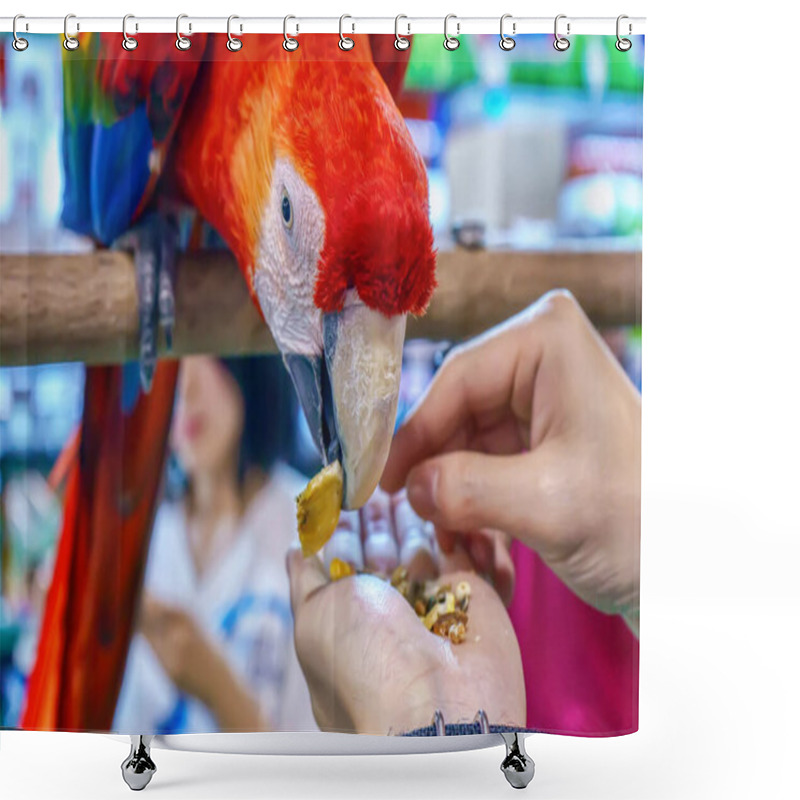 Personality  Macaw Eating Food In Hand. Bird Is A Popular Pet In Thailand. Shower Curtains