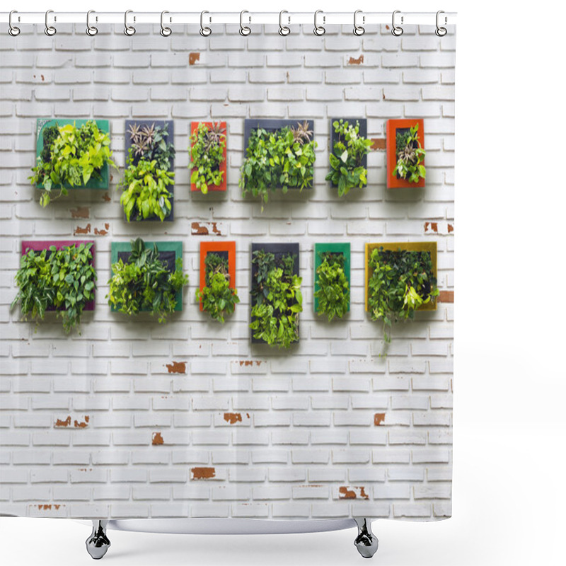 Personality  Aged Brickwall And Vertical Garden Shower Curtains