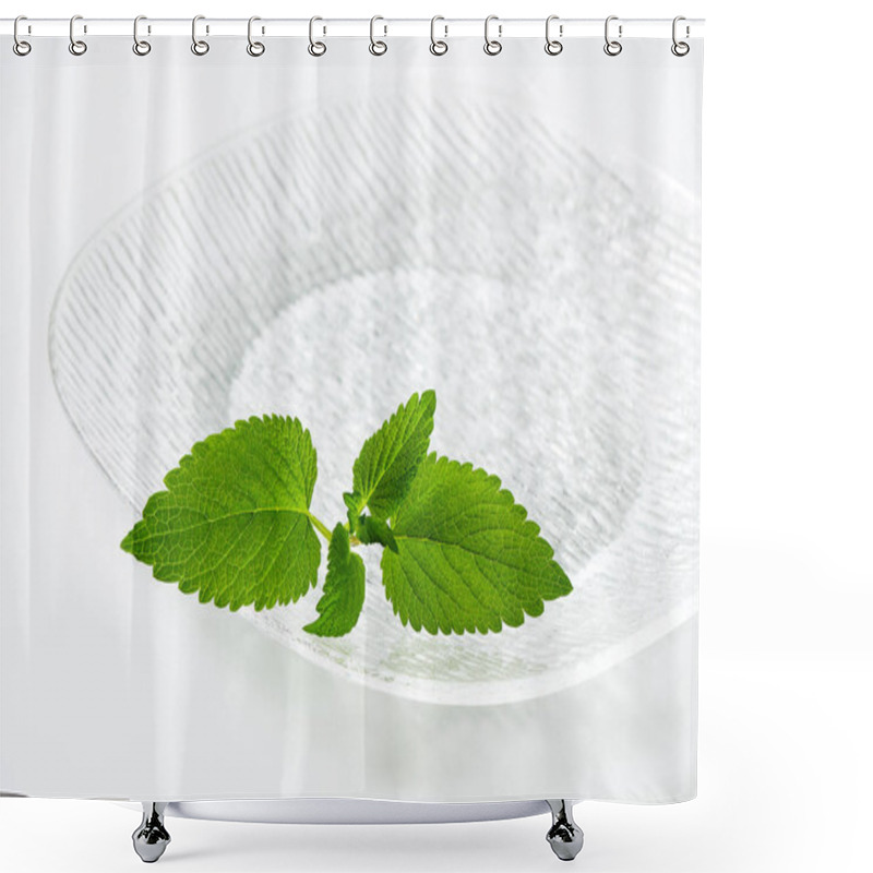 Personality  Fresh Mint Leaves On Plate Shower Curtains