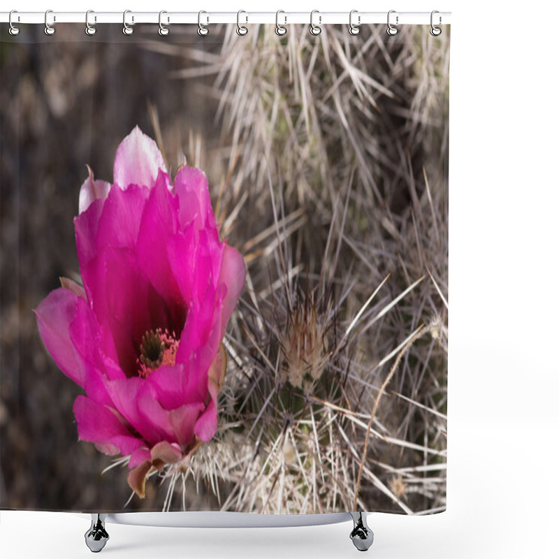 Personality  Cactus At Saguaro National Park, Arizona, USA Shower Curtains