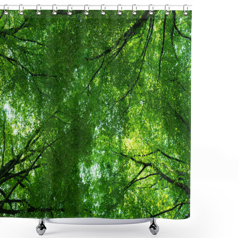 Personality  Blur Natural Green Leaves Bokeh Background. Green Bokeh On Nature Abstract Background. Green Leaf In Garden At Summer. Natural Green Leaves Plants As Spring Background. Environment Ecology Or Greenery Shower Curtains