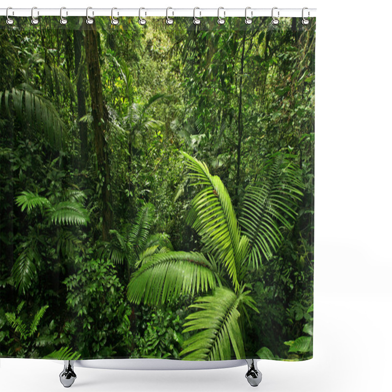 Personality  Dense Rain Forest Jungle Shower Curtains