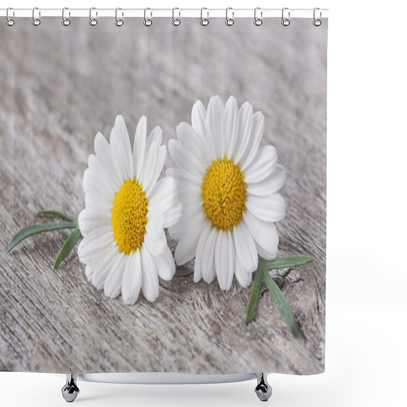 Personality  Chamomile Flower Shower Curtains