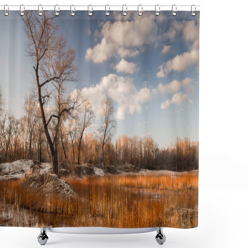 Personality  Birch Trees Without Leaves In Early Spring.  Shower Curtains