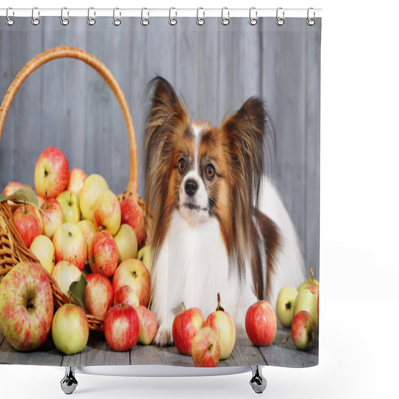 Personality  Dog Lying Near Basket Shower Curtains