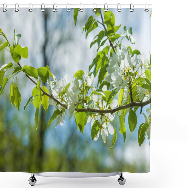 Personality  Spring Landscape, Apple Tree Flowers. Beautiful Spring Blooming Tree, Gentle White Flowers, Fresh Cherry Blossom Border On Green Soft Focus Background, Spring Time Nature Shower Curtains