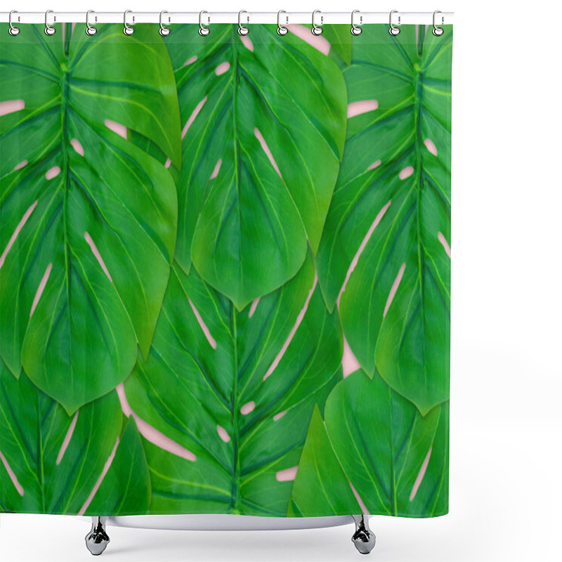 Personality  Monstera Leaves Summer On Pink Background. Copy Space Concept And Top View Shower Curtains