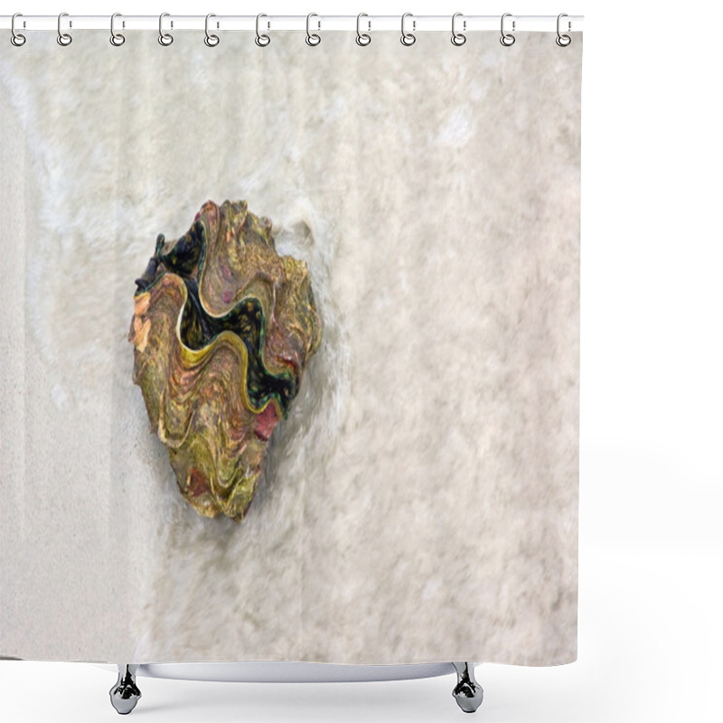 Personality  Giant Clam Shower Curtains