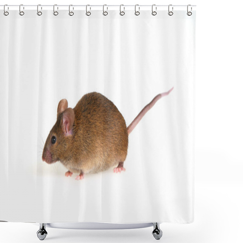 Personality  Mouse Shower Curtains