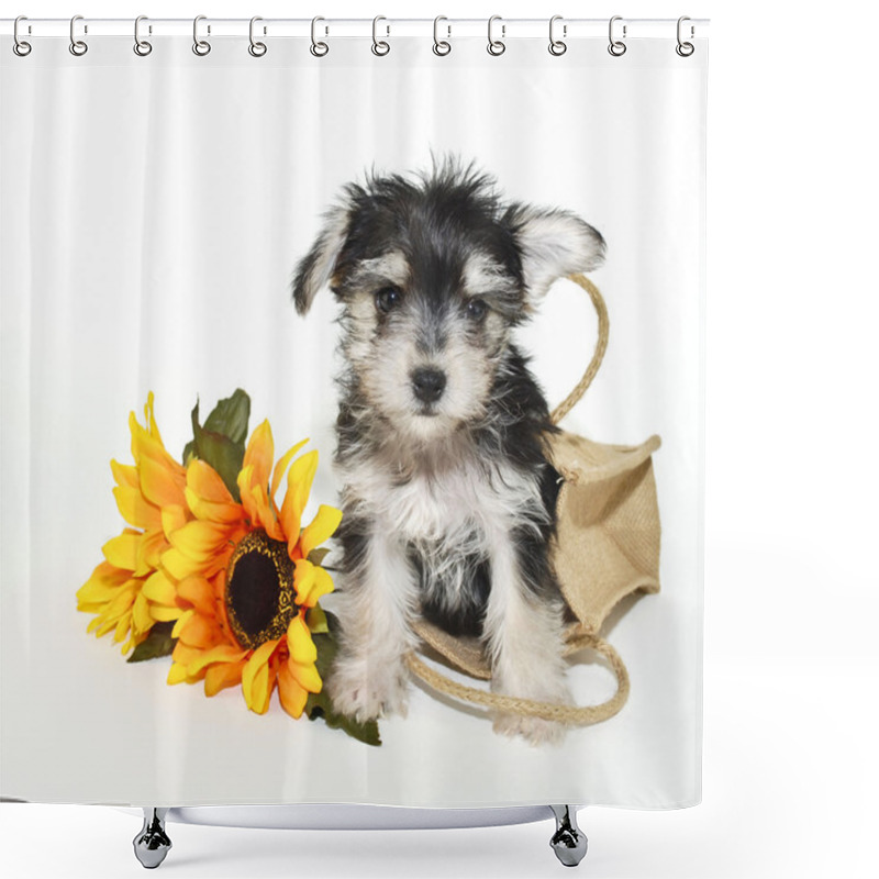 Personality  Morkie Puppy Shower Curtains