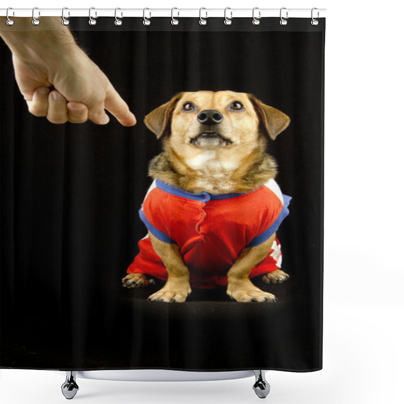 Personality  Bad Dog Shower Curtains