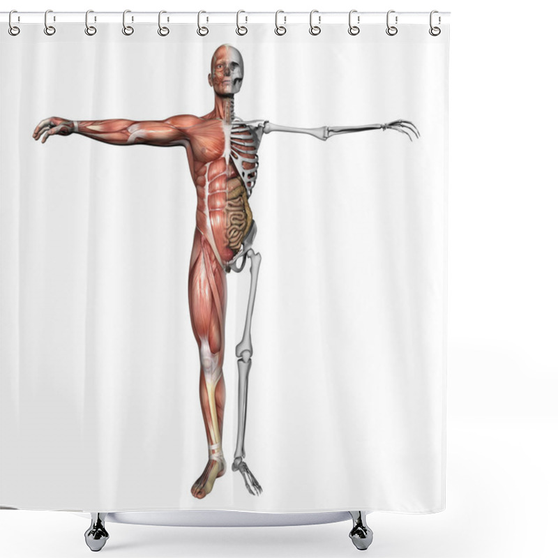 Personality  Anatomy, Muscles And Skeleton Shower Curtains