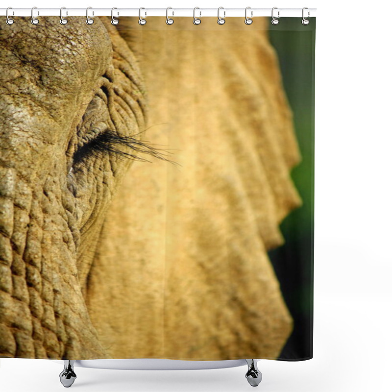 Personality  Unique Close Up Of An African Elephant Shower Curtains