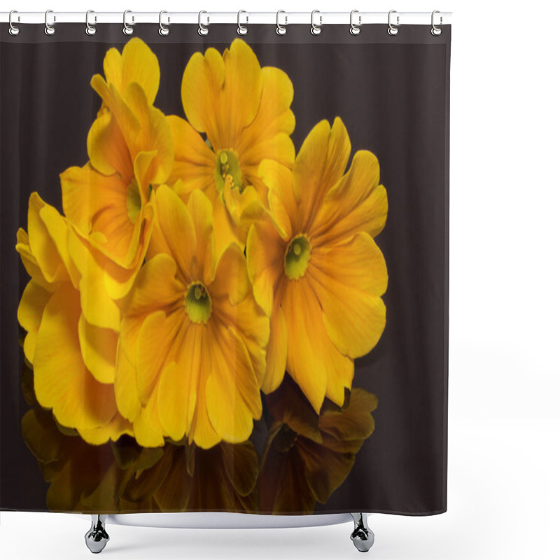 Personality  Bundle Of Beautiful Spring Flowers Of Yellow Primula On Black Background Shower Curtains