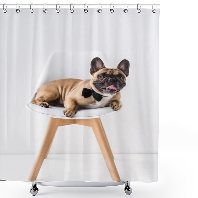 Personality  French Bulldog With Bow Tie Shower Curtains