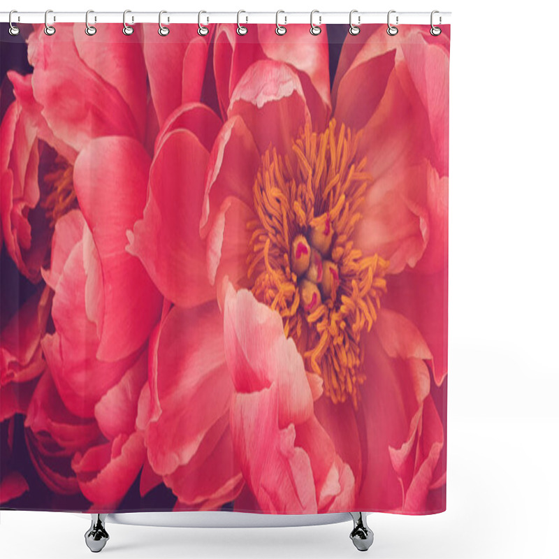 Personality  Pink Peony Petals Floral Flower Closeup Shower Curtains