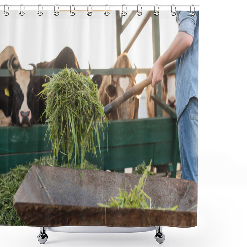 Personality  Cropped View Of Farmer Holding Hay Near Blurred Cows In Stall Shower Curtains