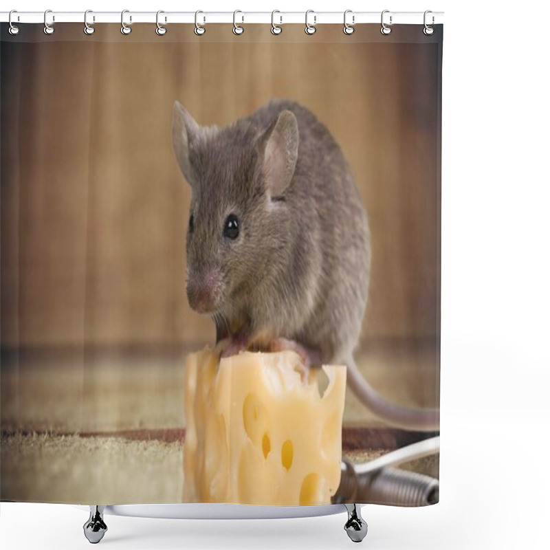 Personality  Gray Mouse Animal  And Cheese  Shower Curtains