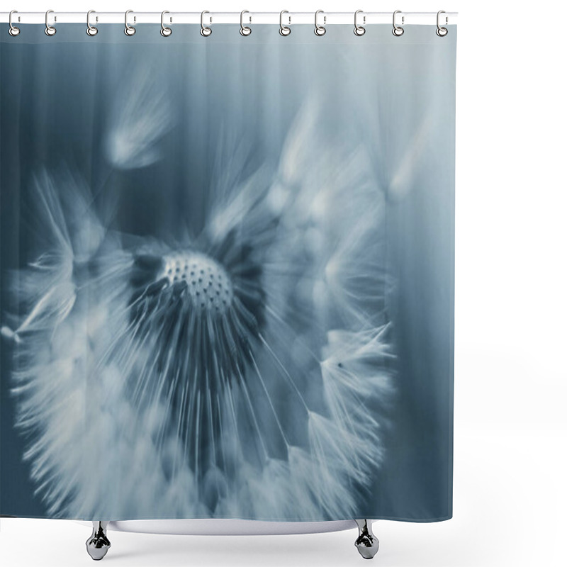 Personality  Macro Photo Of A Dandelion Seeds Shower Curtains