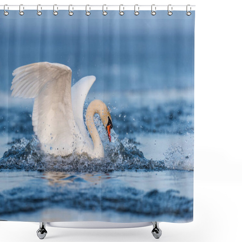 Personality  Mute Swan Flapping Wings Shower Curtains