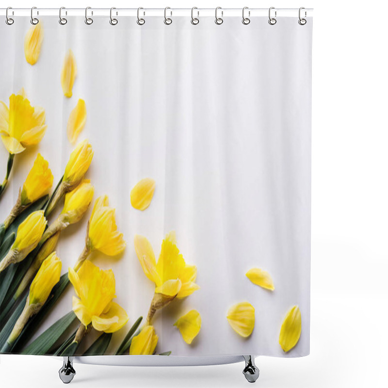 Personality  Yellow Daffodils Flowers On A White Background. Copy Space. Shower Curtains