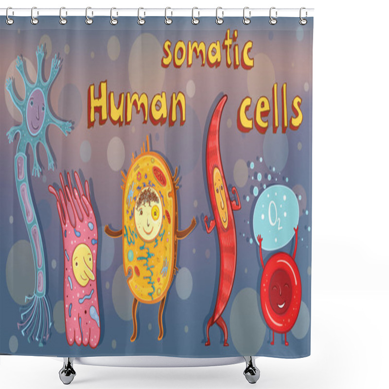 Personality  Vector Illustration Of Human Somatic Cells Shower Curtains