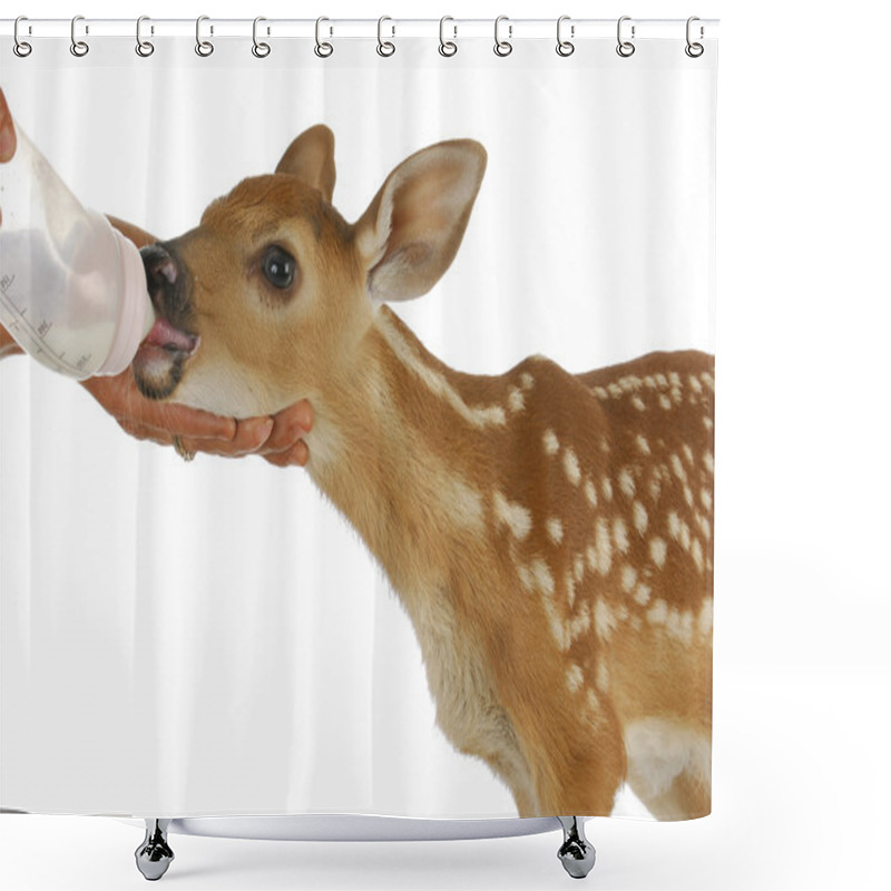 Personality  Orphaned Fawn Shower Curtains