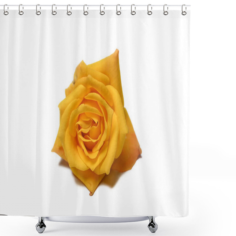 Personality  Yellow Rose Isolated On White Background  Shower Curtains