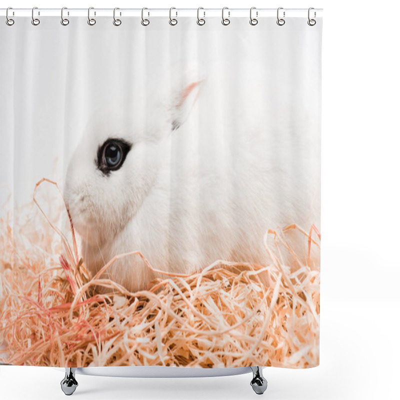 Personality  Cute Rabbit With Black Eye In Nest On White Background Shower Curtains