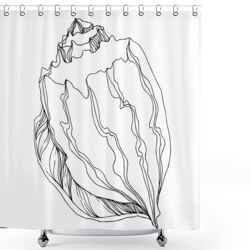 Personality  Vector Summer Beach Seashell Tropical Elements. Black And White  Shower Curtains