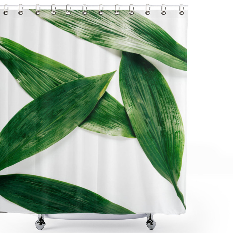 Personality  Top View Of Green Foliage With Water Drops On White Background Shower Curtains