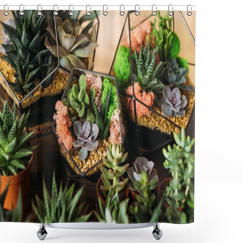 Personality  Diy Florarium Succulents Pots Geometric Vases Shower Curtains