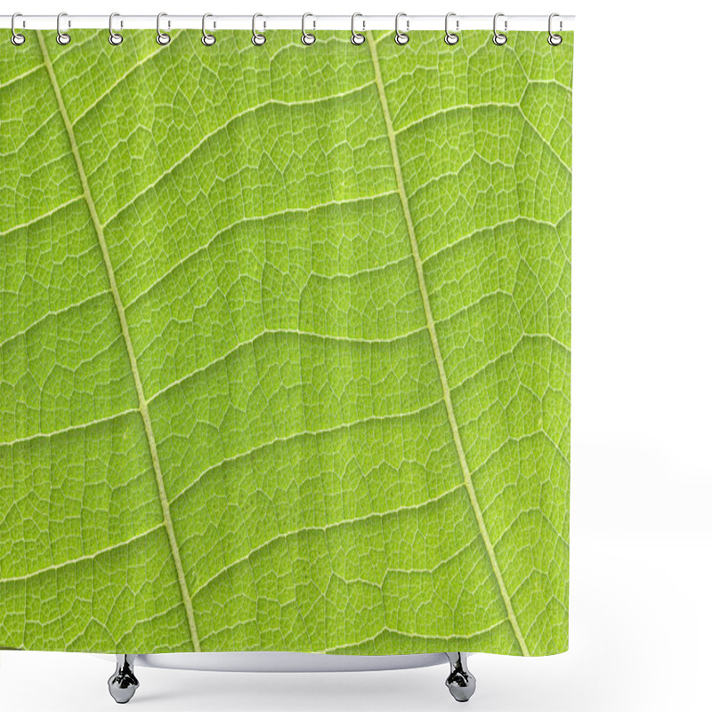 Personality  The Teak Leaf Texture Background  Shower Curtains