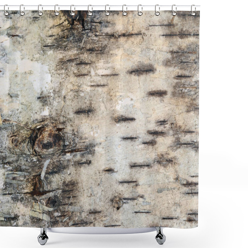 Personality  Detail Of The Strip Of Birch Bark On White Background Shower Curtains