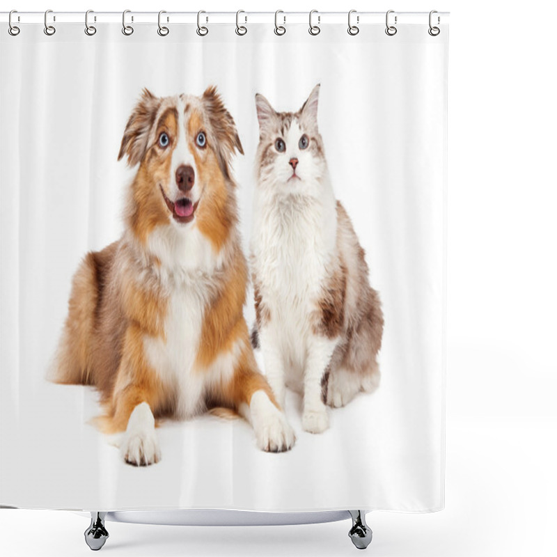 Personality  Cat And Happy Dog Shower Curtains