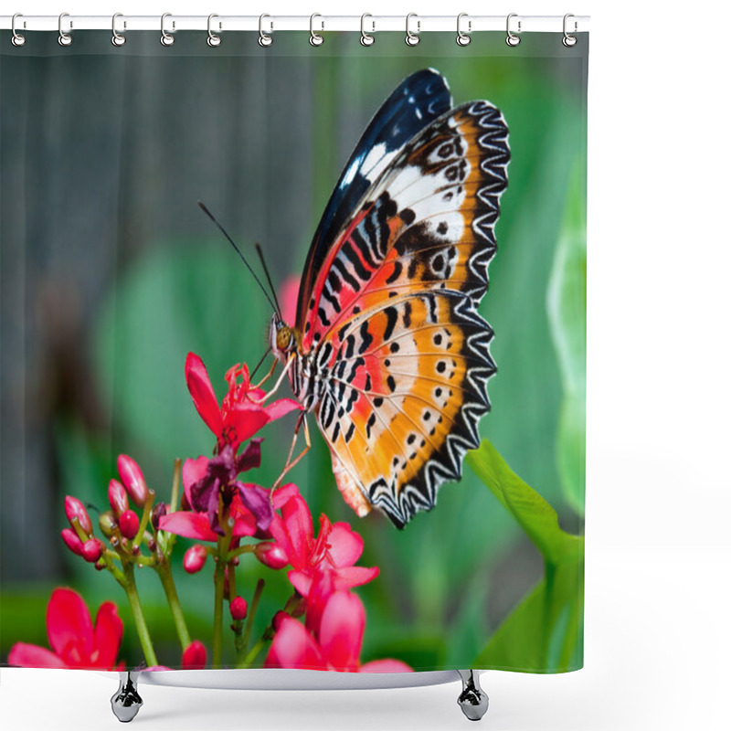 Personality  The Butterfly Shower Curtains