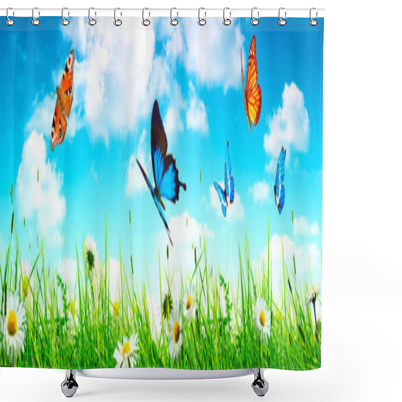 Personality  Flying Butterfly In Spring Morning. Panoramic View. Shower Curtains