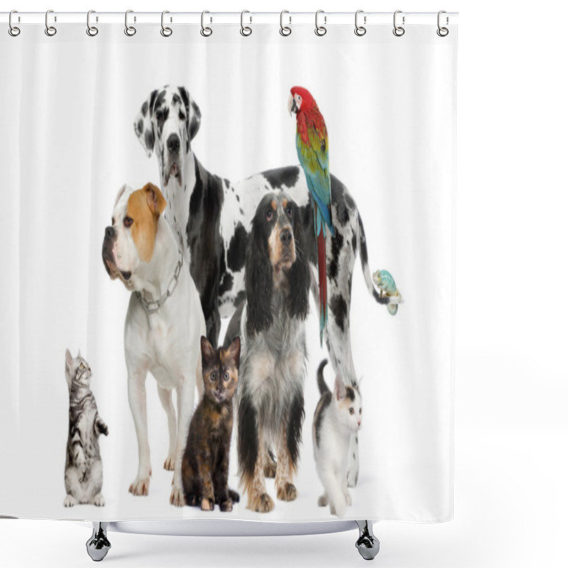 Personality  Group Of Pets Standing In Front Of White And Brown Background Shower Curtains