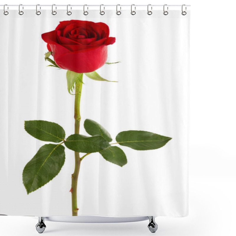 Personality  Beautiful Red Rose Shower Curtains