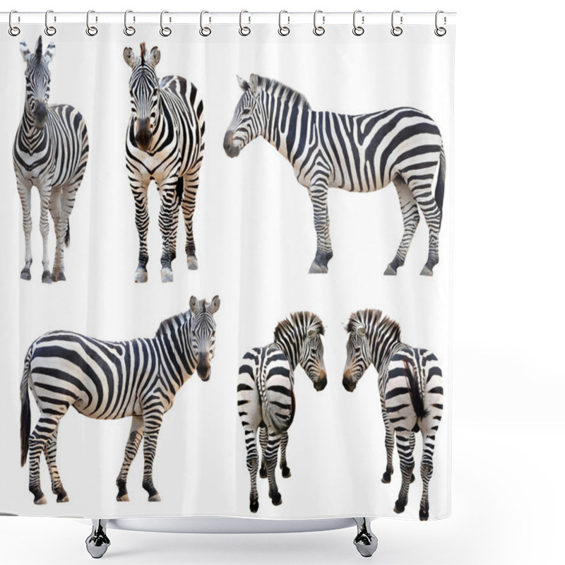 Personality  Zebra Isolated Shower Curtains