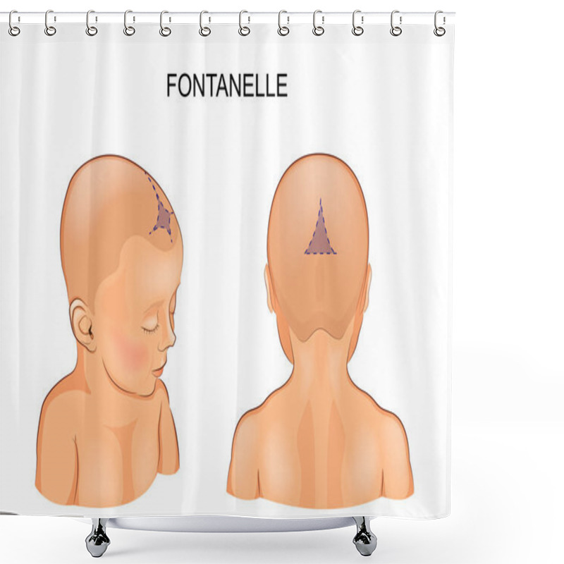 Personality  Fontanel In The Infant Shower Curtains