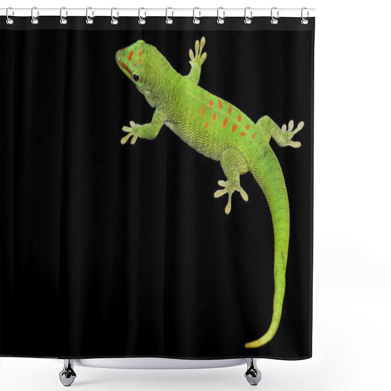 Personality  Giant Day Gecko Shower Curtains