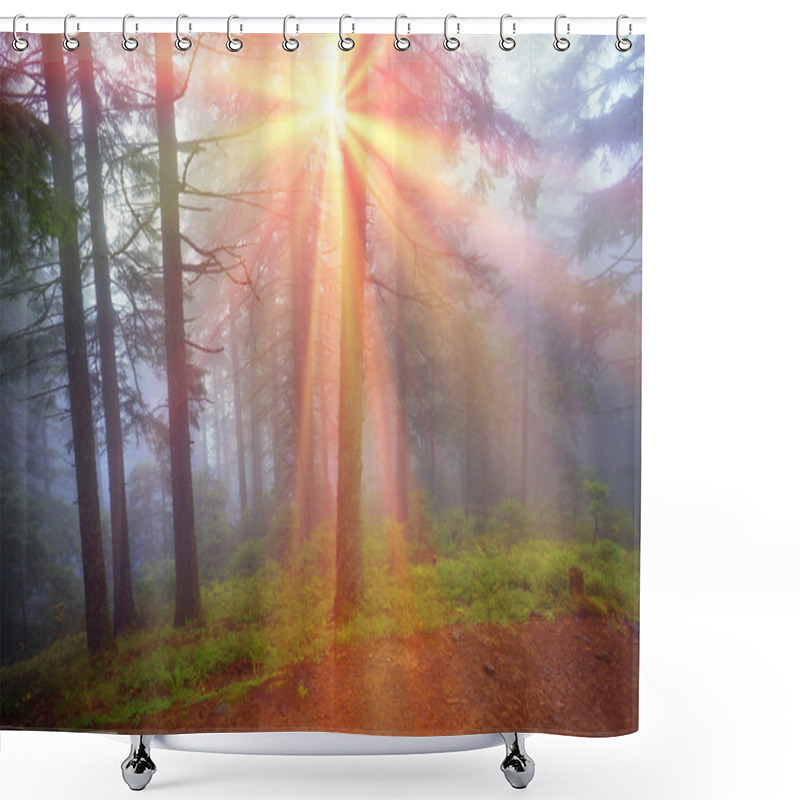 Personality  Carpathian Autumn Forest Shower Curtains